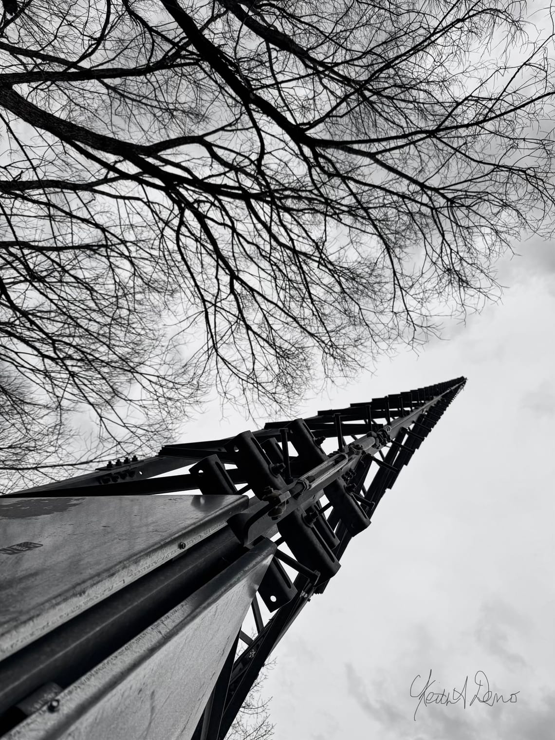 Nature and Technology