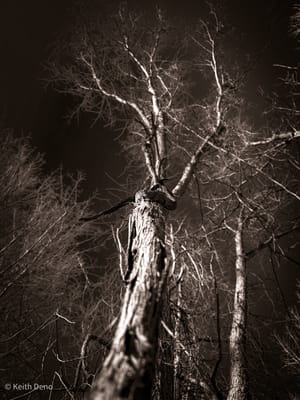 Welcome to Knotted Stone